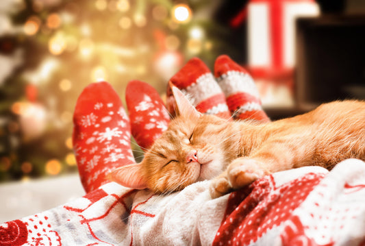 Un cadeau de Noël susceptible de détruire votre canapé
