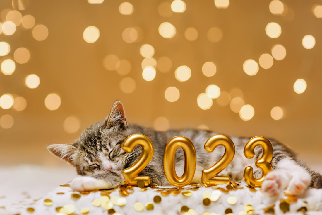 Pour votre année 2023