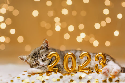 Pour votre année 2023