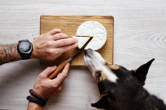 Donner du calcium à son chien ?