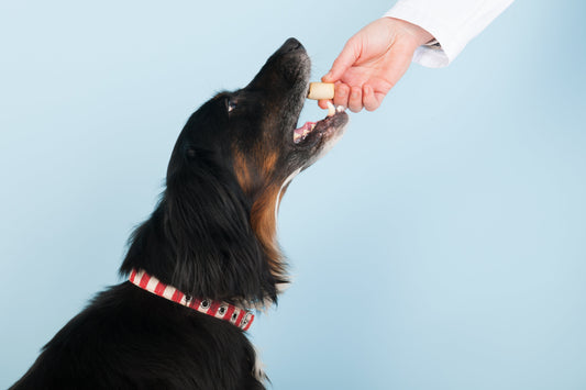 La coopération de votre chien au prix d’une saucisse.