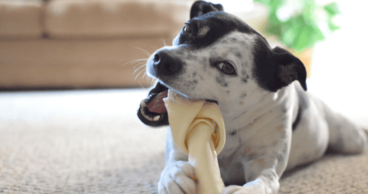 Les pires friandises à mastiquer : à jeter de toute urgence !