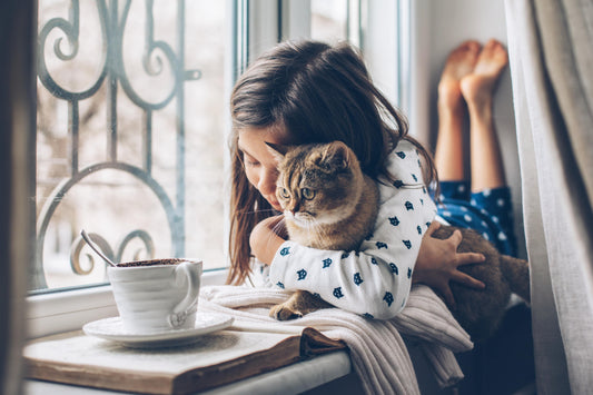 Exigence d'affection : prenons-nous nos félins pour des peluches ?