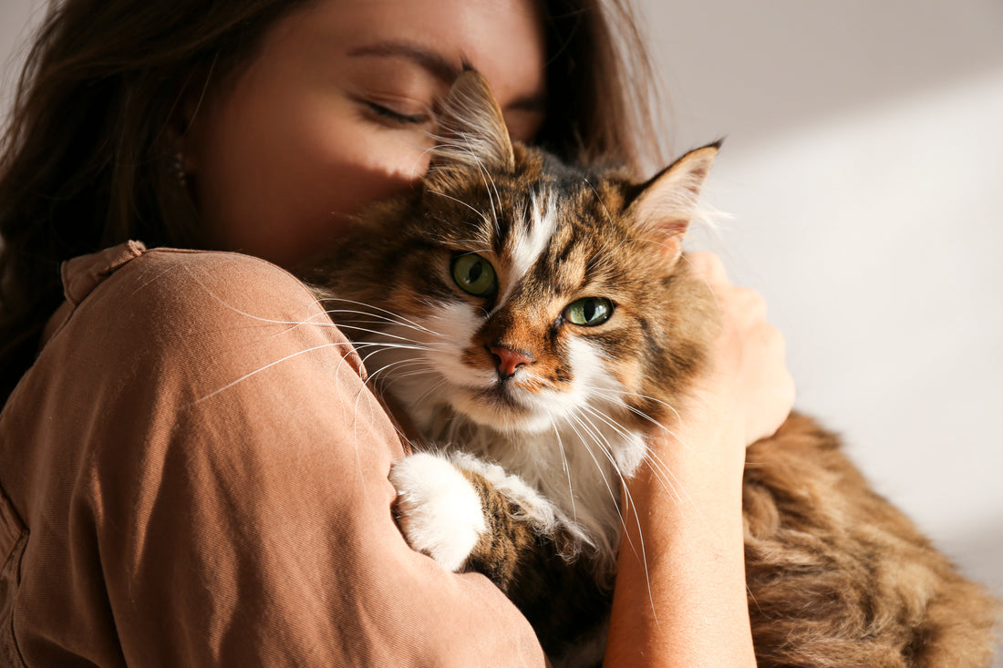 Charlie, le chat qui ne ronronne jamais.