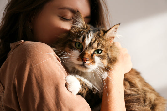 Charlie, le chat qui ne ronronne jamais.