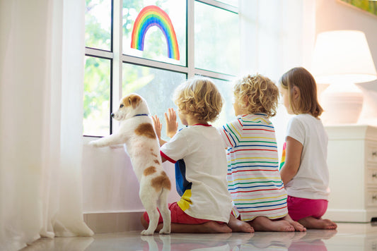 Le planning des chiens confinés – semaine 4
