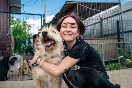 Ces gestes simples qui sauveront la vie de votre chien