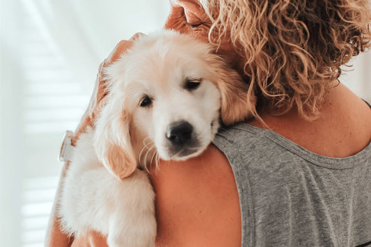 Vous vivez plus longtemps grâce à votre chien