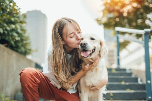 L'enfant, un drôle d'animal selon votre chien