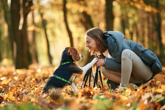 Votre chien peut vous parler