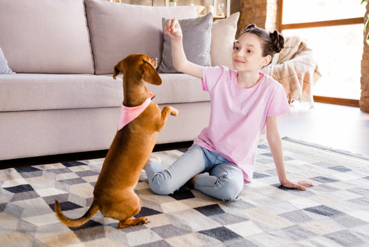 Le planning des confinés, semaine 1 : de quoi occuper votre chien chez vous, tous les jours !