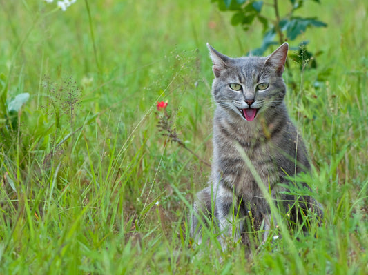 Arrivée des beaux jours : 3 choses dont il faut impérativement se méfier