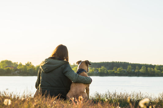 Votre chien vous sauve la vie