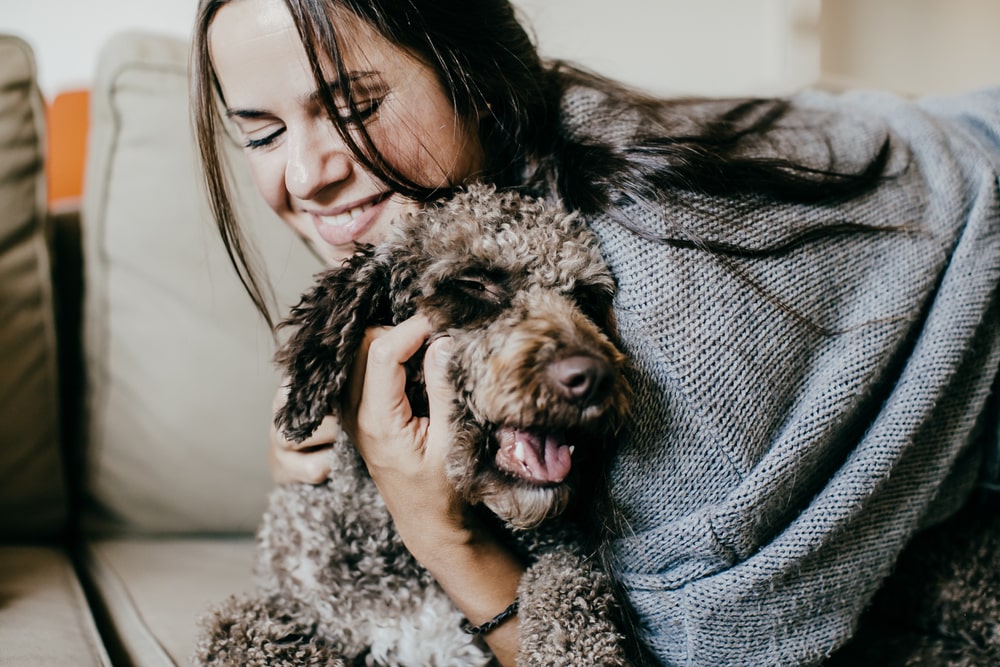 Traiter son chien comme un enfant ne lui rend pas service