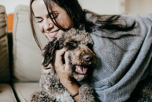 Traiter son chien comme un enfant ne lui rend pas service