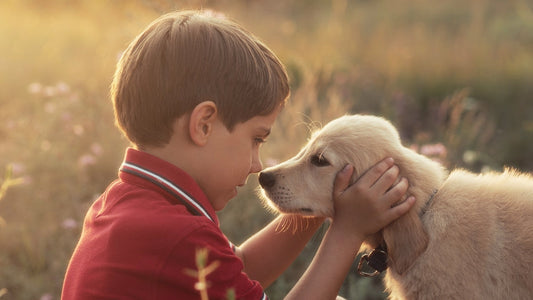 Chien et enfant : apprendre à votre enfant à lire le langage corporel canin