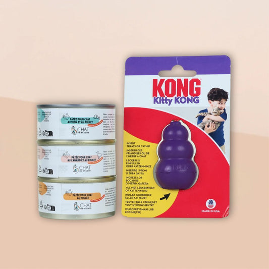 Pack Découverte Effilochés & Kong