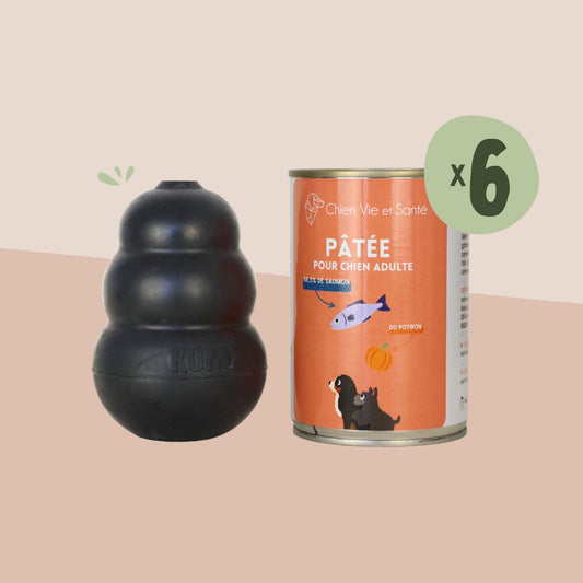 Pack Kong X Pâtée au Saumon & Potiron