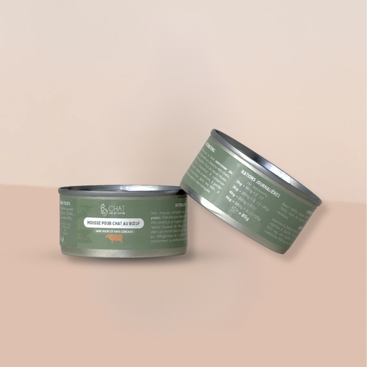 Mousse au boeuf