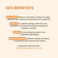 Levure de Bière Bio