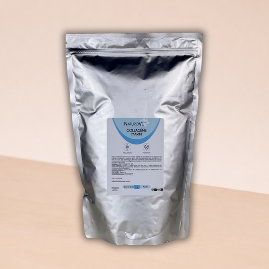 Collagène marin en poudre