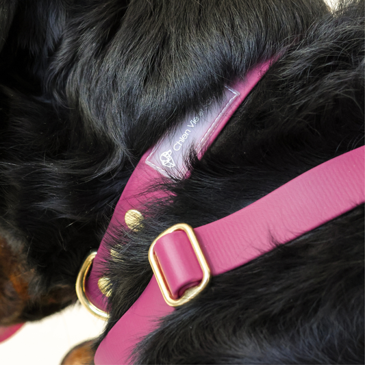 Collier en BioThane
