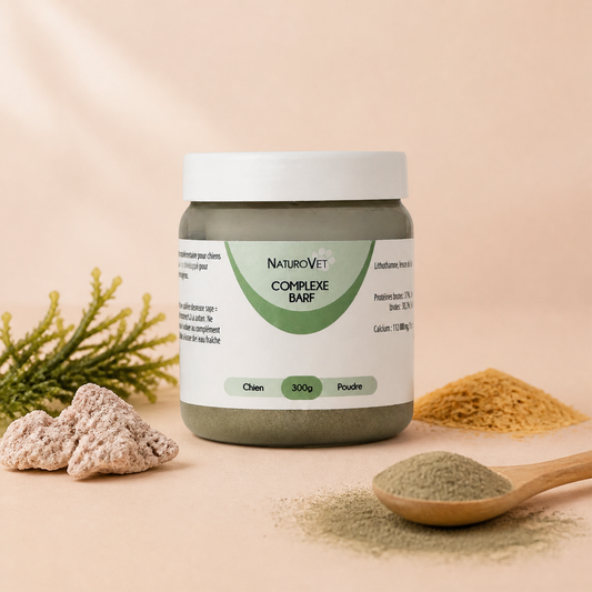 Pot de Complexe BARF NaturoVet pour chien, 300 g de poudre, avec lithothamne, branche verte, levure de bière et cuillère en bois de poudre