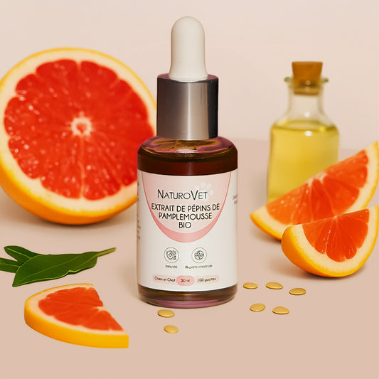 Extrait Pépins Pamplemousse