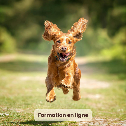 Obtenir un rappel parfait