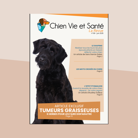 Abonnement à la Revue Chien Vie et Santé (Numérique Uniquement)