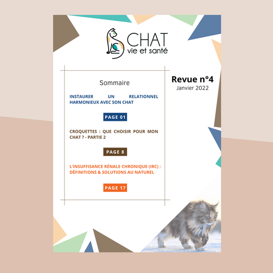 Revue n°04 - Relation chat-humain, croquettes, insuffisance rénale, solutions naturelles