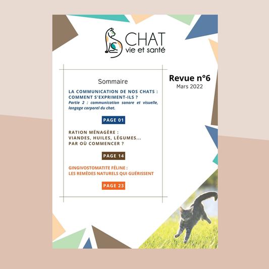 Revue n°06 - Communication féline, ration ménagère, gingivostomatite, remèdes naturels