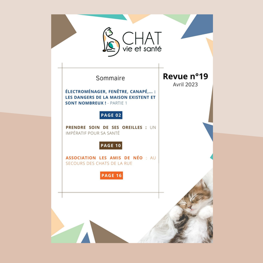 Revue n°19 - Dangers domestiques, soins des oreilles, chats errants, association Les Amis de Néo