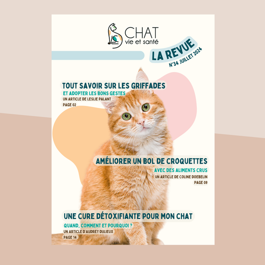 Revue n°34 – Griffades du chat, Croquettes & aliments crus, Cure détox féline