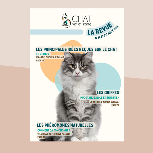 Revue n°36 – Idées reçues sur le chat, Griffes et entretien, Phéromones naturelles