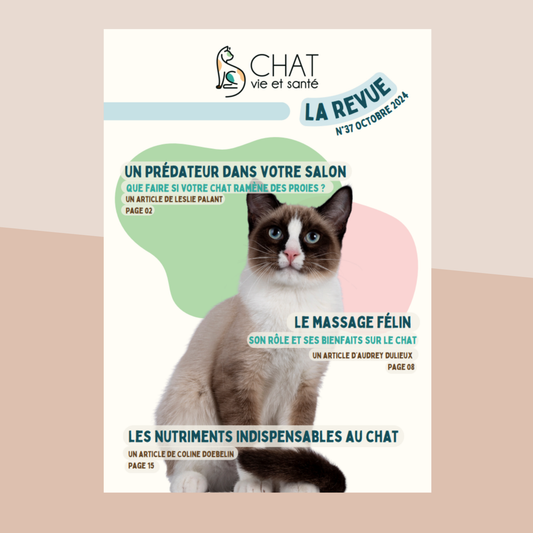 Revue n°37 – Chat prédateur, Massage félin, Nutriments essentiels