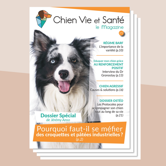 Revue n°02 - Croquettes, BARF, renforcement positif, agressivité, ostéopathie