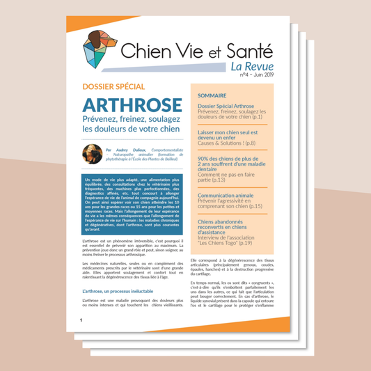 Revue n°04 - Arthrose, anxiété de séparation, problèmes dentaires, communication animale, association