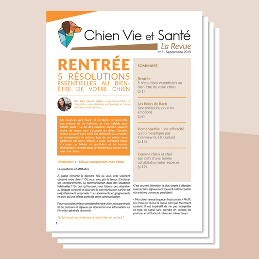 Revue n°07 - Bien-être post rentrée, Fleurs de Bach, homéopathie, cohabitation inter-espèces