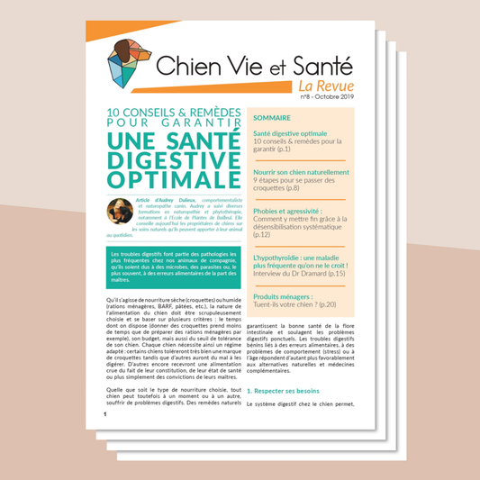 Revue n°08 - Santé digestive, BARF, peur et agressivité, hypothyroïdie, produits ménagers