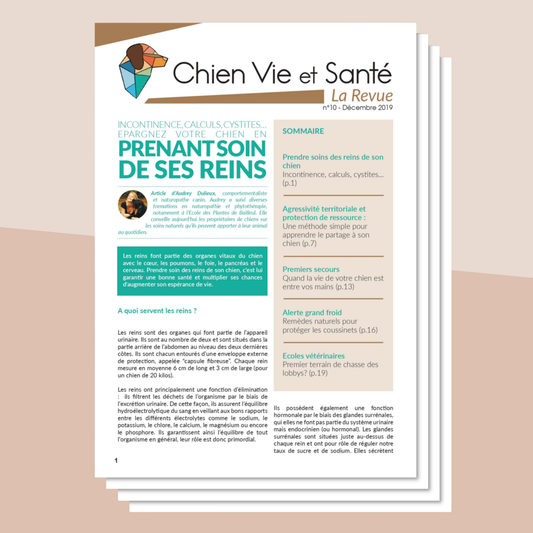 Revue n°10 - Santé rénale, protection des ressources, premiers secours, coussinets, écoles vétérinaires