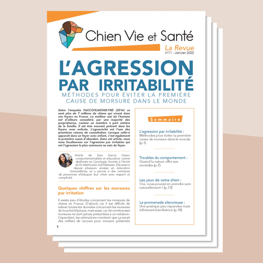 Revue n°11 - Agression par irritabilité, troubles du comportement, santé visuelle, promenade silencieuse