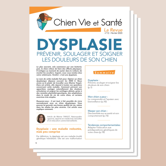 Revue n°12 - Dysplasie, peur, massage, tendances comportementales