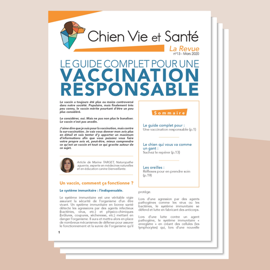 Revue n°13 - Vaccination responsable, adoption, santé auriculaire