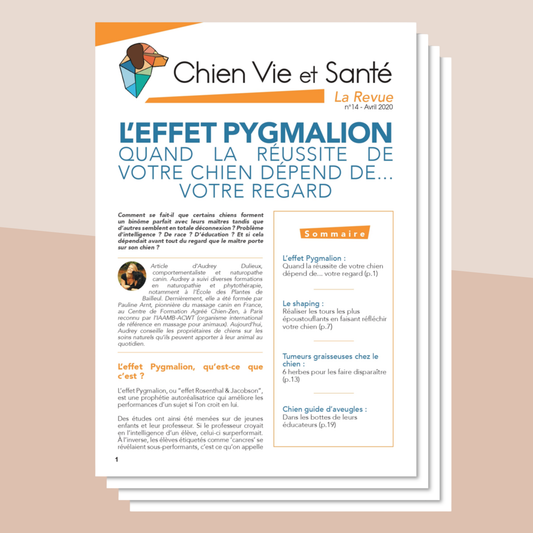 Revue n°14 - Effet Pygmalion, shaping, tumeurs graisseuses, chiens guides d’aveugles