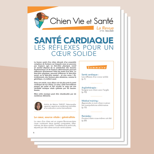 Revue n°15 - Santé cardiaque, argilothérapie, Medical Training, remèdes estivaux