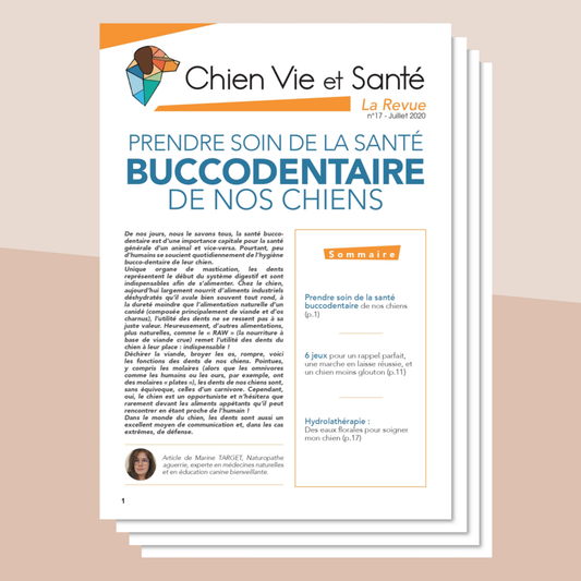 Revue n°17 - Santé buccodentaire, exercices pratiques, hydrolathérapie