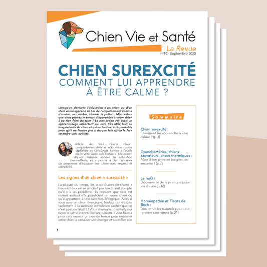 Revue n°19 - Surexcitation, baignade, Reïki, homéopathie et Fleurs de Bach