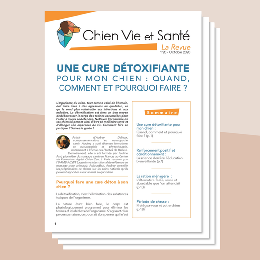 Revue n°20 - Cure détoxifiante, éducation bienveillante, ration ménagère, chasse