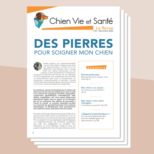Revue n°22 - Pierres précieuses, cancer, ration ménagère, discrimination d’objets